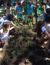 Um grupo de crianças está plantando plantas em um jardim